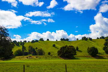 Fototapeta premium Landschaft in Neuseeland, Südinsel