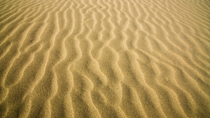 Sea Sand Texture of sea sand with wave shapes