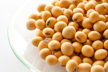 soybean with healthy concept