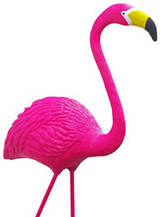Isolated Pink beautiful flamingo for garden decoration