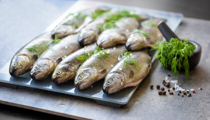 Rainbow trouts on a stone board with herbs
