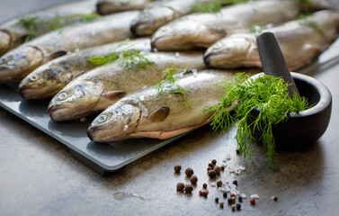 Rainbow trouts on a stone board with herbs