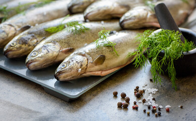 Rainbow trouts on a stone board with herbs