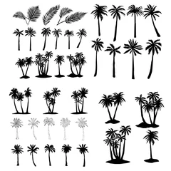 Poster palm tropical tree set icons black silhouette vector illustration isolated on white background © Vladimir