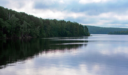 lake shore in a wooded area. cloudy weather