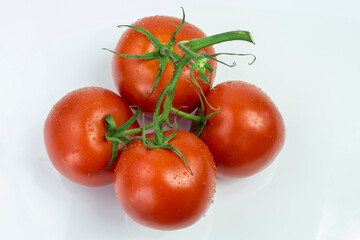 A sprig of tomatoes with droplets of water on a white background with reflection.