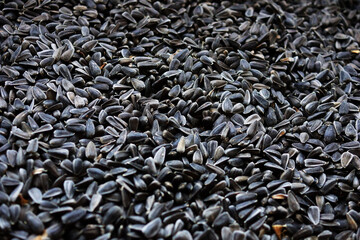 sunflower seeds background