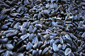 sunflower seeds background