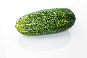 Single cucumber on a white background with reflection