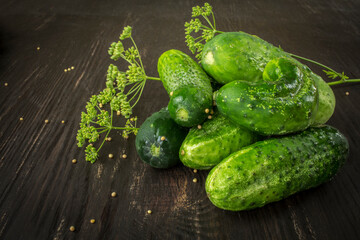 A composition of ground cucumbers and a sprig of garden dill on a dark brown table.