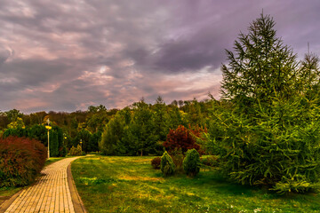 autumn landscape with trees