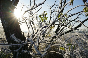 sonnenaufgang im drömling naturpark deutschland