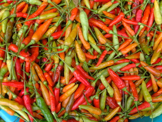 Red and green chillies background