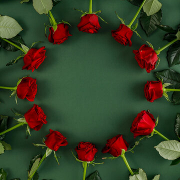 Fresh reed roses and free space for your decoration. Flat photo , copy space. Top view. 