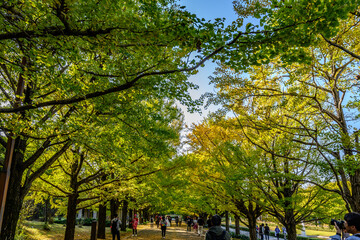 昭和記念公園