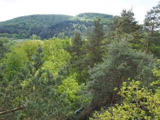 Obraz premium Landschaften – Fischbach bei Dahn – Ortsgemeinde in Rheinland-Pfalz