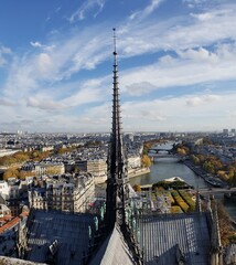 Fototapeta premium view of paris from notre dame tower