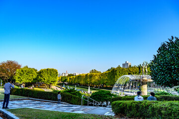 Fototapeta na wymiar 昭和記念公園