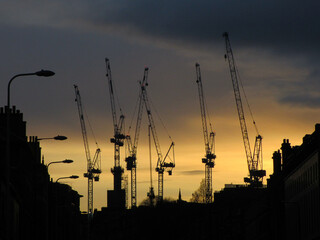 silhouette of cranes at sunset