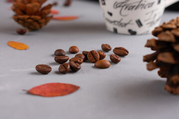 Brown, chocolate, coffee beans on a gray concrete background with cones and fallen red and yellow autumn leaves of mountain ash, oak, maple
