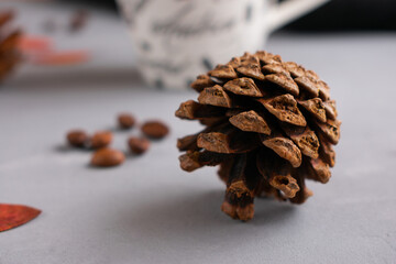 Brown, chocolate, coffee cone on a gray concrete background, shot in macro with coffee beans and fallen red and yellow autumn leaves of mountain ash, oak, maple