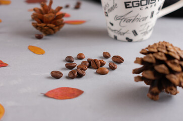 Brown, chocolate, coffee beans on a gray concrete background with cones and fallen red and yellow autumn leaves of mountain ash, oak, maple