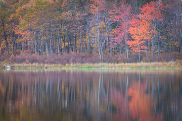 Vibrant fall foliage reflects off calm and peaceful Steenykill Lake at High Point State Park, NJ
