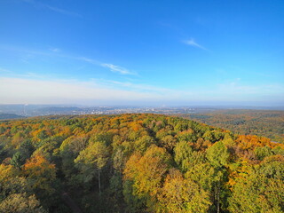 Blick vom Schwarzenberturm über den Stadtwald auf Saarbrücken