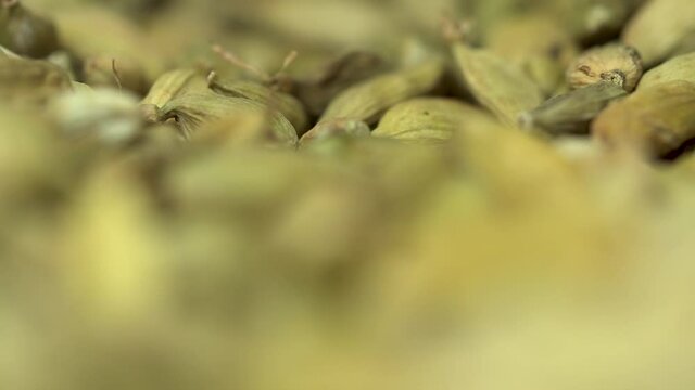 Cardamom macro close up rack focus in dimly lit area isolated
