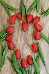 heart lined with red tulips on a wooden background