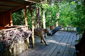 jungle attraction park with animals made of wood