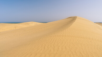 Fototapeta na wymiar The great desert Dunas de Maspalomas in Gran Canary