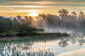 Sunrise in the bog landscape. Misty marsh, lakes nature environment background