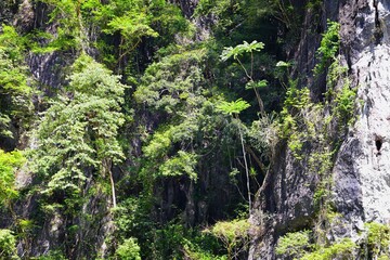 Island, Ocean views near Phuket Thailand with Blues, Turquoise and Greens oceans, mountains, boats, caves, trees resort island of phuket Thailand. Including Phi Phi, Ko Rang Yai, Ko Li Pe and other is