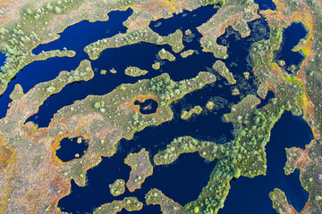 Sunset in the bog, golden marsh, lakes and nature environment. Sundown evening light in summer