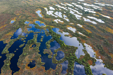 Sunset in the bog, golden marsh, lakes and nature environment. Sundown evening light in summer