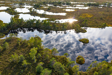 Sunset in the bog, golden marsh, lakes and nature environment. Sundown evening light in summer