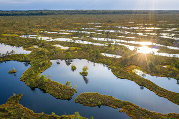 Sunset in the bog, golden marsh, lakes and nature environment. Sundown evening light in summer