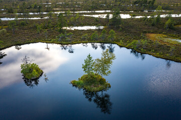 Sunset in the bog, golden marsh, lakes and nature environment. Sundown evening light in summer