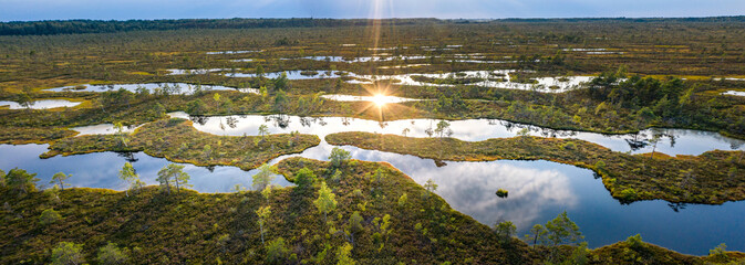 Sunset in the bog, golden marsh, lakes and nature environment. Sundown evening light in summer