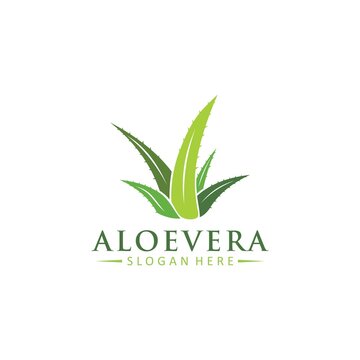 Aloe Vera Logo Vector Icon Concept