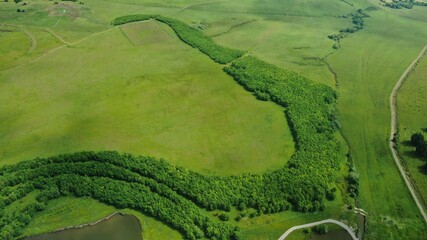 Romanian forest and mountains