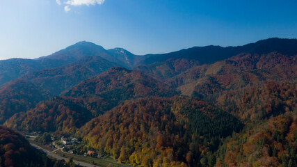 Naklejka premium Romanian forest and mountains