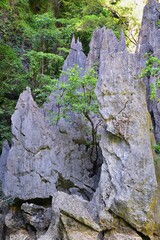 Island, Ocean views near Phuket Thailand with Blues, Turquoise and Greens oceans, mountains, boats, caves, trees resort island of phuket Thailand. Including Phi Phi, Ko Rang Yai, Ko Li Pe and other is