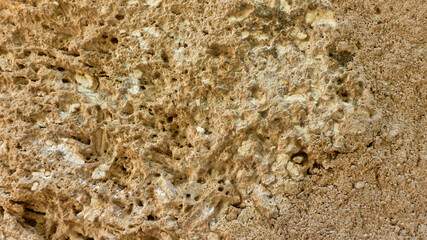 Pared de roca