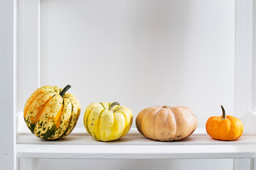 different varieties of pumpkins lie on white shelf of the rack in the kitchen interior