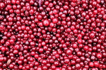 Ripe bright red lingonberry berries in bulk.