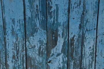 Old wooden boards with peeling blue paint.