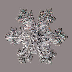 real snowflake 