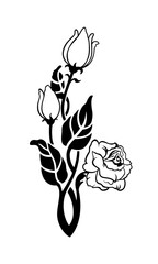 black rose silhouette - 299996877